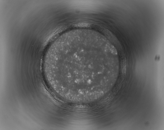 X0000113980735200911131054