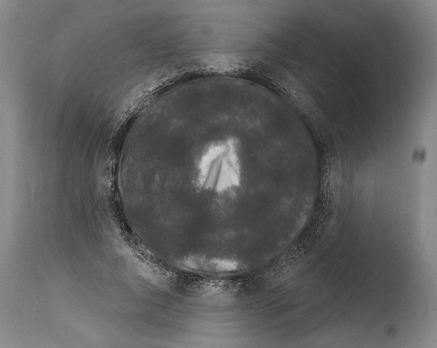 X0000113980736200911131055