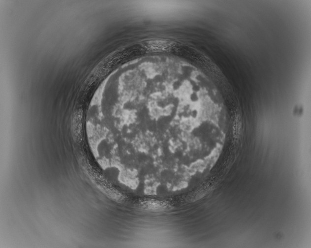 X0000113980737200911131055