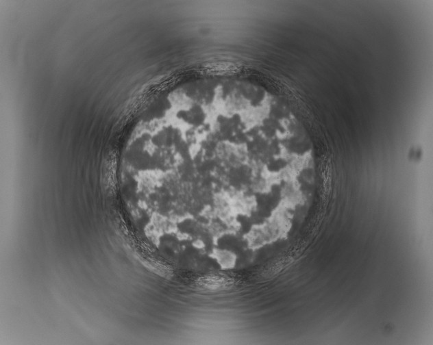 X0000113980745200911131055
