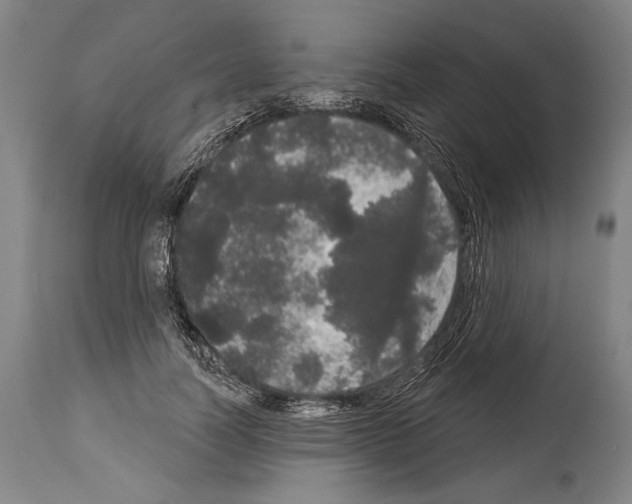 X0000113980746200911131055