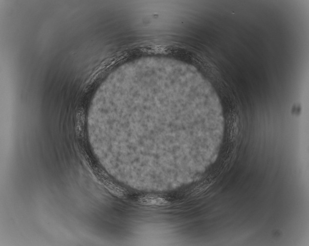 X0000113980747200911131055
