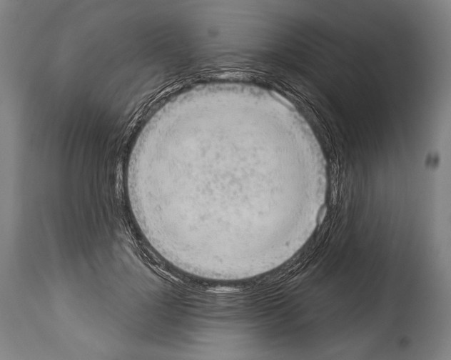 X0000113980748200911131055