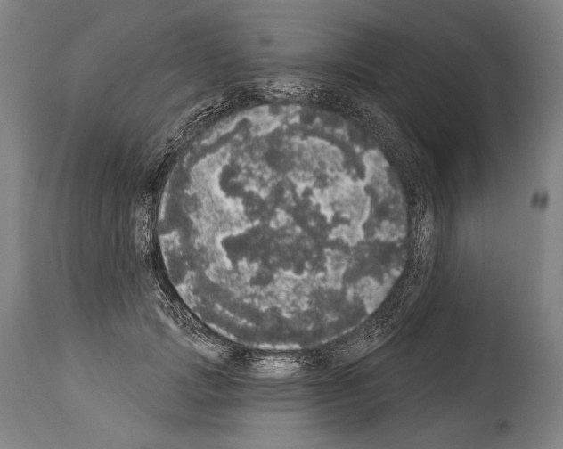 X0000113980749200911131055