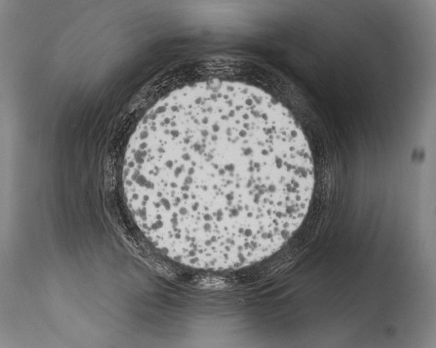 X0000113980751200911131055