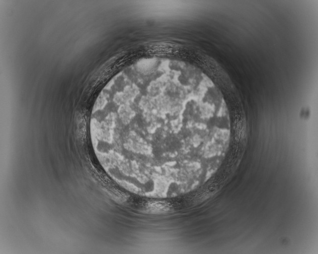 X0000113980753200911131055