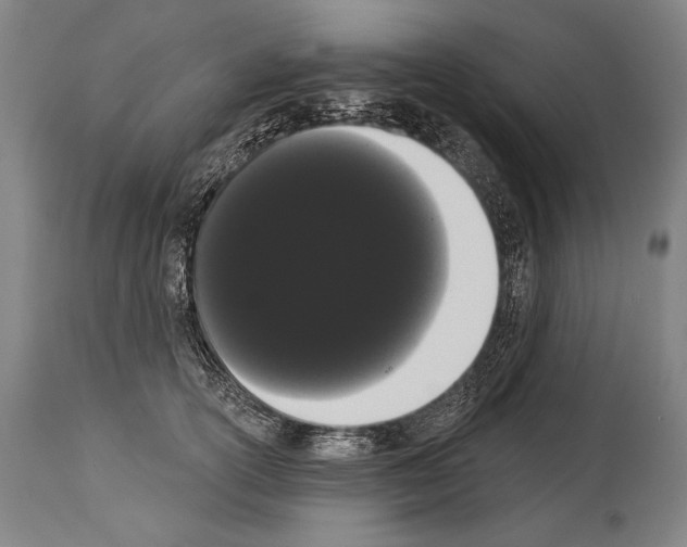 X0000113980754200911131055