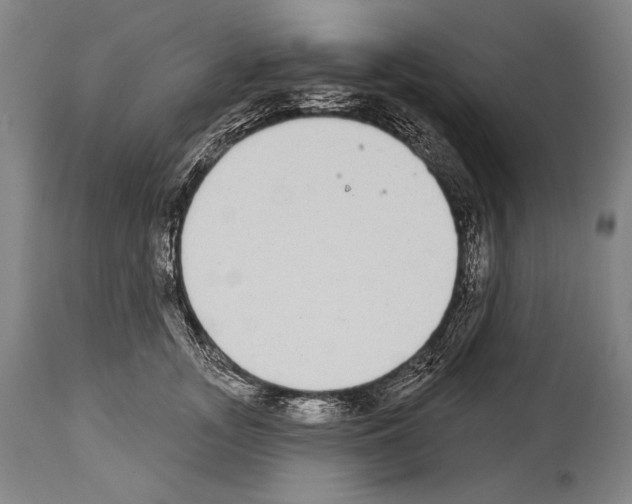 X0000113980755200911131055