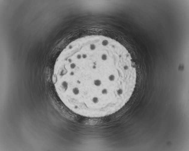 X0000113980758200911131055