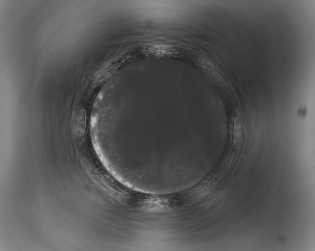 X0000113980760200911131055