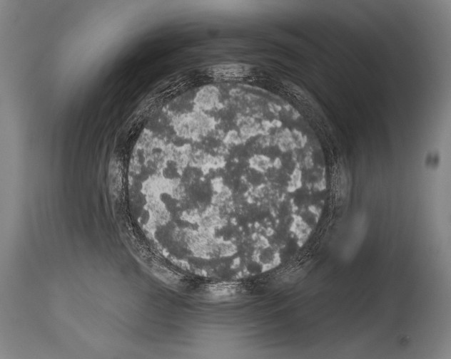 X0000113980761200911131055
