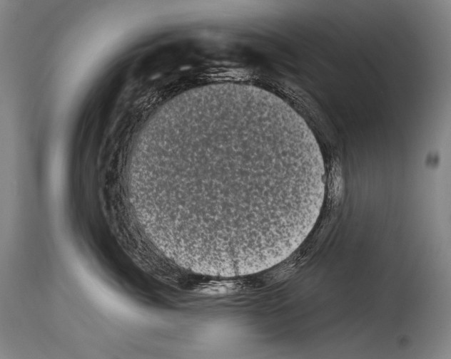 X0000113980764200911131055