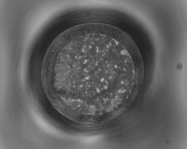 X0000113980765200911131055