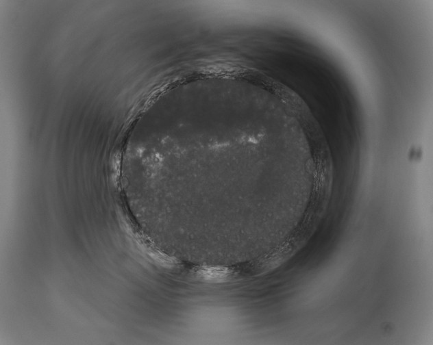 X0000113980767200911131055