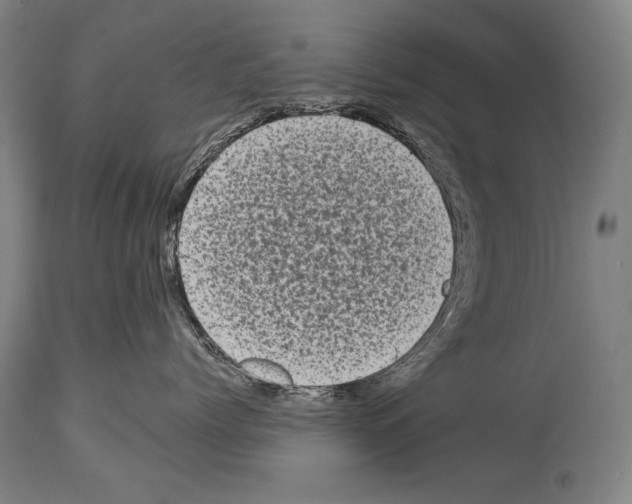 X0000113980768200911131055