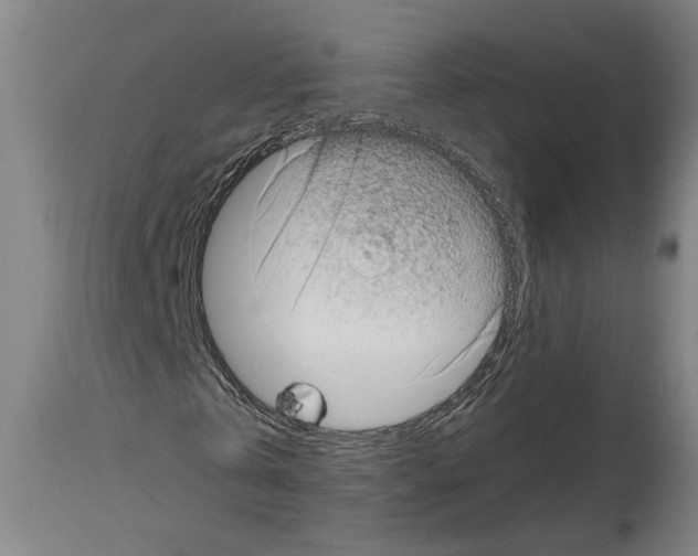 X0000113980769200911131054