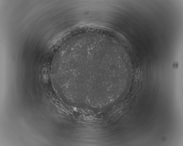 X0000113980774200911131054