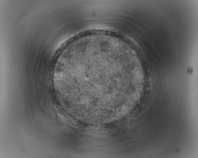 X0000113980775200911131054