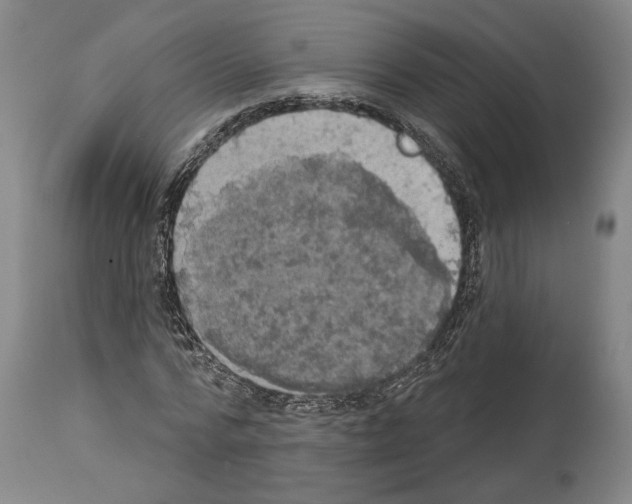 X0000113980776200911131054