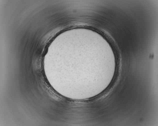 X0000113980777200911131054