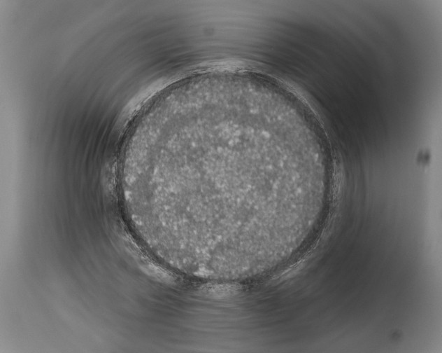 X0000113980778200911131054