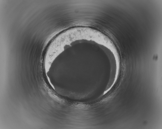 X0000113980779200911131054