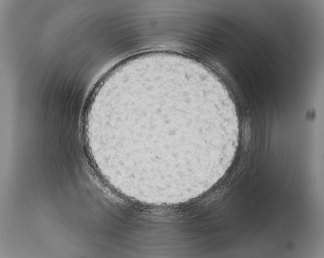 X0000113980780200911131054