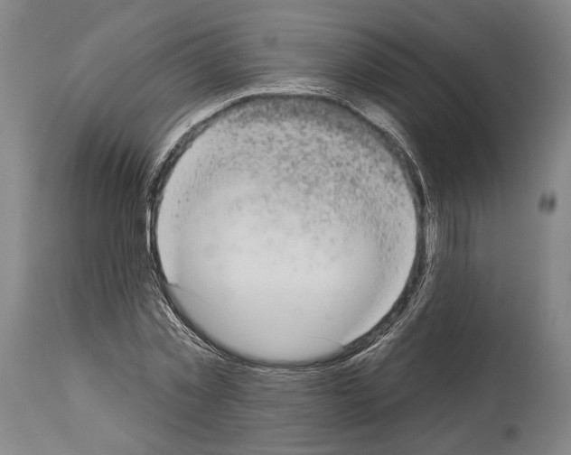 X0000113980781200911131054
