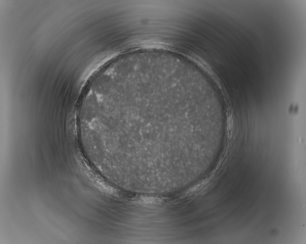 X0000113980782200911131054