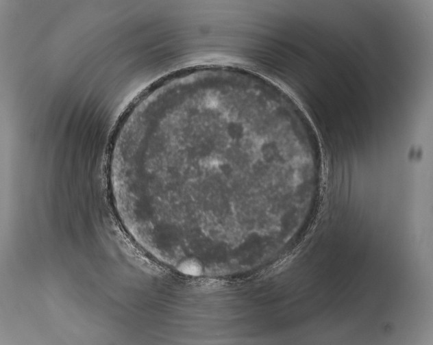 X0000113980783200911131054