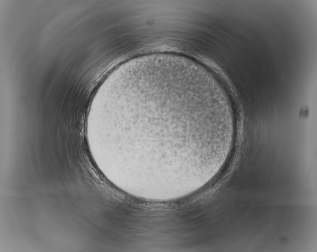 X0000113980785200911131054