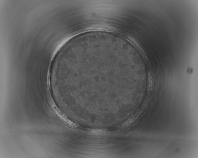 X0000113980788200911131054