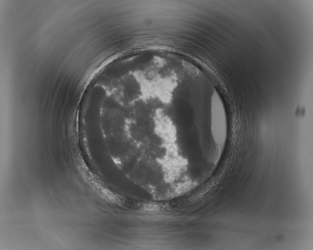 X0000113980790200911131054