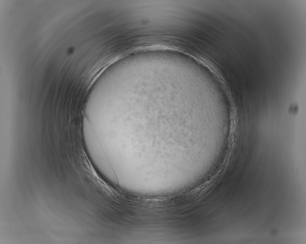 X0000113980793200911131054
