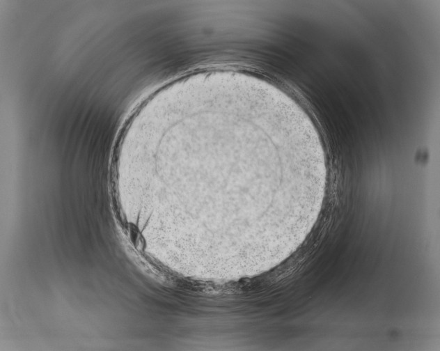 X0000113980795200911131054