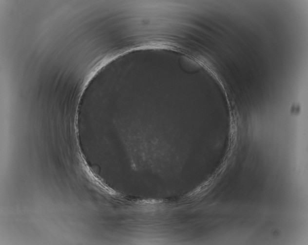 X0000113980797200911131054