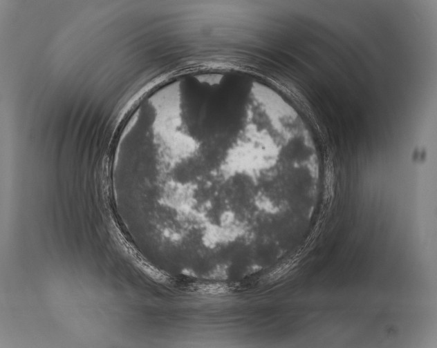 X0000113980798200911131054