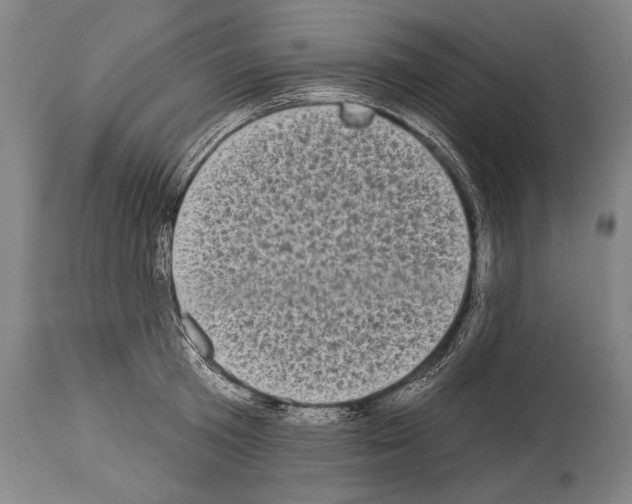 X0000113980801200911131054