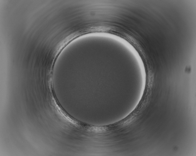 X0000113980802200911131054