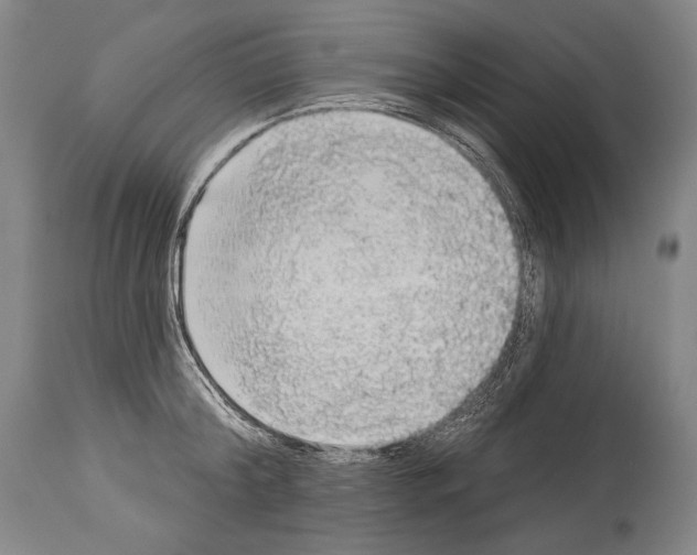 X0000113980804200911131054