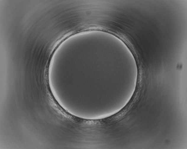 X0000113980806200911131054