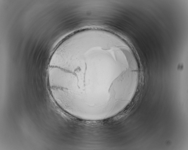 X0000113980807200911131054