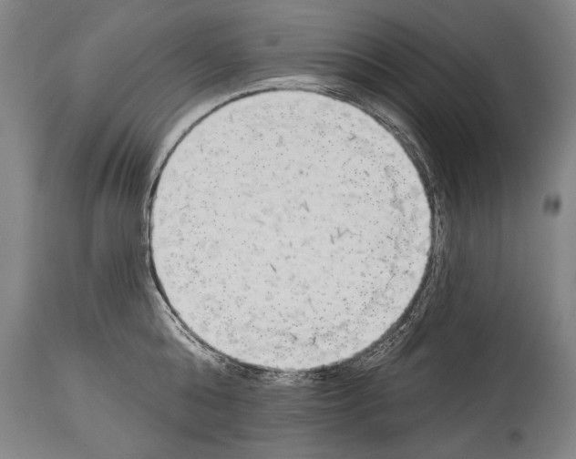 X0000113980808200911131054