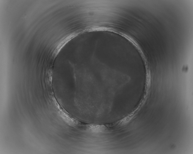 X0000113980809200911131054