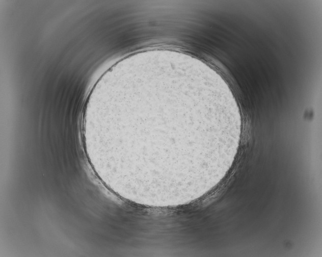 X0000113980812200911131054