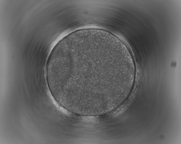 X0000113980813200911131054