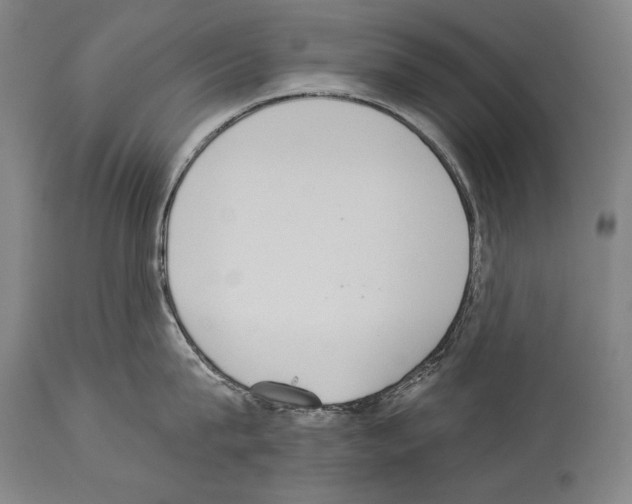 X0000113980815200911131054