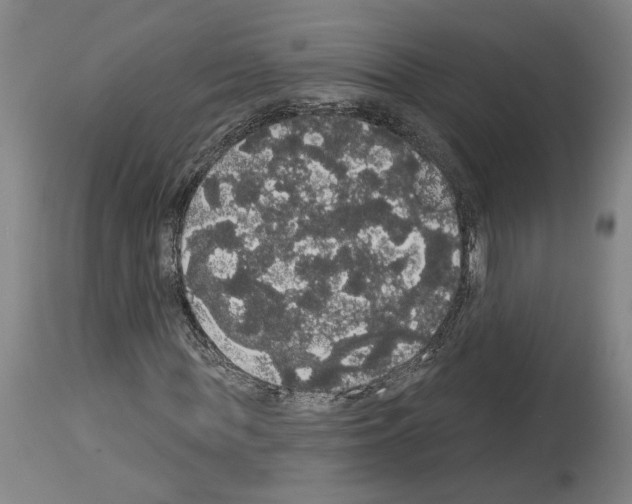 X0000113980819200911131053