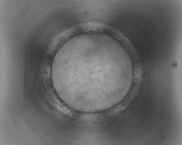 X0000113980820200911131053