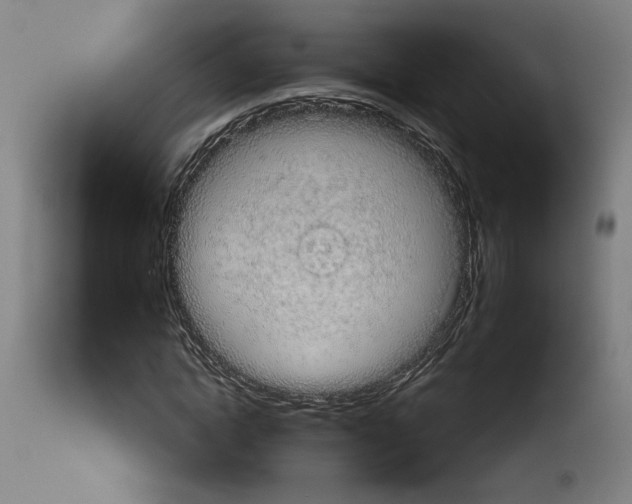 X0000113980822200911131053